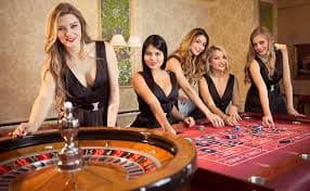 ivibet