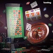 ivibet